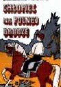 Chłopiec na polnej drodze - Stanisława Platówna
