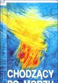 Chodzący po morzu - Mieczysław Maliński