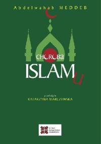 Choroba islamu - Abdelwahab Meddeb