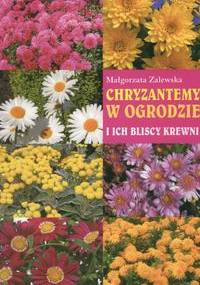 Chryzantemy w ogrodzie i ich bliscy krewni - Małgorzata Zalewska