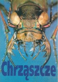 Chrząszcze