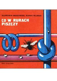 Co w rurach piszczy - Sławomir Grabowski, Marek Nejman