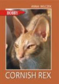Cornish rex. Pluszowy kot - Anna Wilczek
