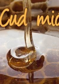 Cud miód - Justyna Mrowiec