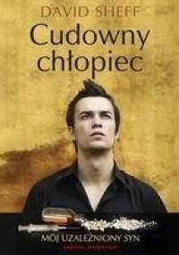 Cudowny chłopiec. Mój uzależniony syn - David Sheff