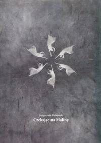 Czekając na Malinę - Małgorzata Południak