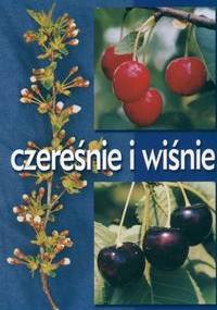 Czereśnie i wiśnie - Mirosław Sitarek