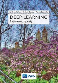 Deep Learning. Systemy uczące się