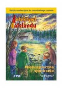 Detektywi z Dalslandu. Niebezpieczne spotkanie - Pia Hagmar
