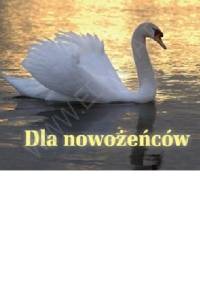 Dla nowożeńców. Perełka 198 - praca zbiorowa
