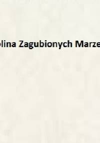 Dolina Zagubionych Marzeń - Liliana Bardijewska