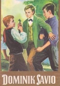 Dominik Savio - autor nieznany