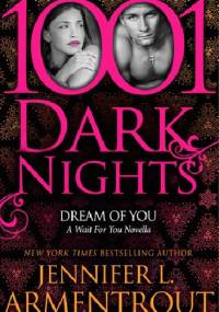 Dream Of You - J. Lynn