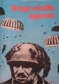 Droga wiodła ugorem - Stanisław Sosabowski