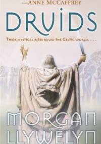 Druids - Morgan Llywelyn