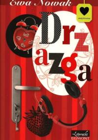 Drzazga - Ewa Nowak