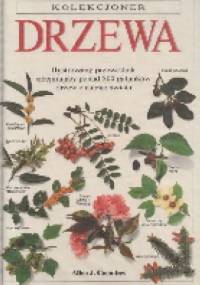 Drzewa - Allen J. Coombes