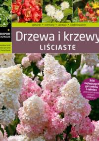 Drzewa i krzewy liściaste