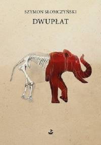 Dwupłat - Szymon Słomczyński
