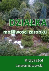 Działka. Możliwości zarobku - Krzysztof Lewandowski