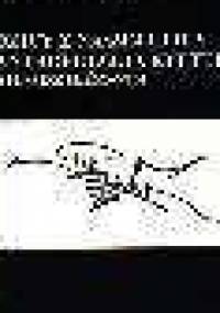 Dzicy z naszej ulicy. Antropologia kultury młodzieżowej