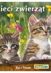 Dzieci zwierząt. Poznajemy zwierzęta - Rafał Wejner