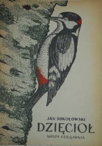 Dzięcioł - Jan Sokołowski