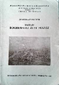 Dzieje bocheńskiej żupy solnej - Stanisław Fischer