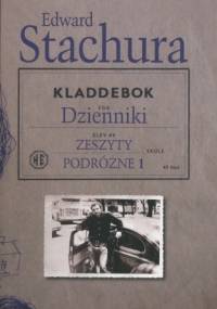 Dzienniki. Zeszyty podróżne 1 - Edward Stachura