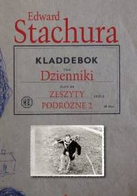 Dzienniki. Zeszyty podróżne 2 - Edward Stachura