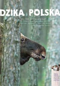 Dzika Polska - Tomasz Kłosowski