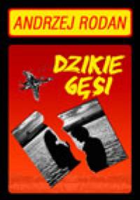 Dzikie gęsi - Andrzej Rodan