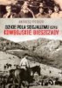 Dzikie pola socjalizmu czyli kowbojskie Bieszczady - Andrzej Potocki