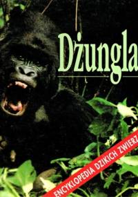 Dżungla - Catherine Nicolle