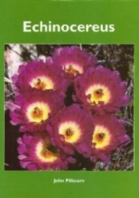 Echinocereus - John Pilbeam