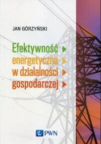 Efektywność energetyczna w działalności gospodarczej - Górzyński Jan