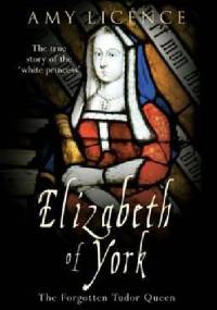 Elizabeth of York: The Forgotten Tudor Queen - Amy Licence