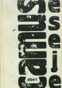 Eseje - Albert Camus