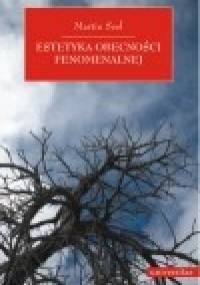 Estetyka obecności fenomenalnej - Martin Seel