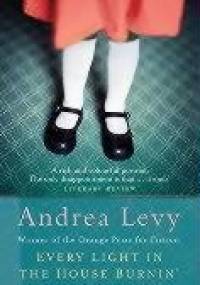 Every Light In The House Burning - Andrea Levy