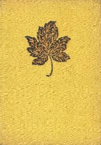 Flibustierowie - Władysław Umiński