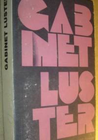 Gabinet luster. Krótka proza amerykańska 1961-1977