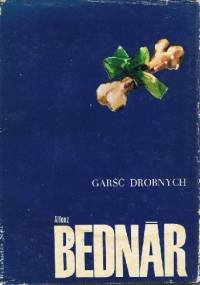 Garść drobnych w kasecie z Peszawaru - Alfonz Bednar