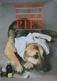 Gdy zachoruje pies - Peter Teichmann