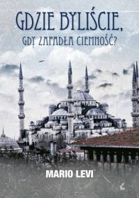Gdzie byliście, gdy zapadła ciemność? - Mario Levi