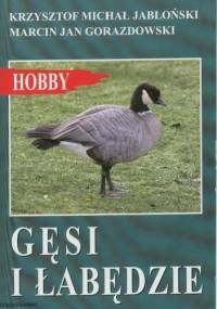 Gęsi i łabędzie - Krzysztof Michał Jabłoński, Marcin Jan Gorazdowski