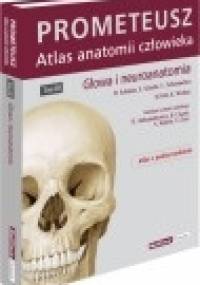 Głowa i neuroanatomia PROMETEUSZ Atlas Anatomii Człowieka