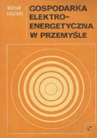 Gospodarka elektro-energetyczna w przemyśle - Wacław Gosztowt