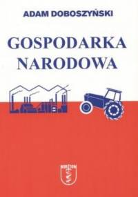 Gospodarka narodowa - Adam Doboszyński