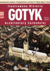 Gotyk - David Watkin